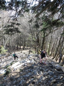 Wir verlassen den Wald und es geht immer mal wieder auf allen Vieren voran.